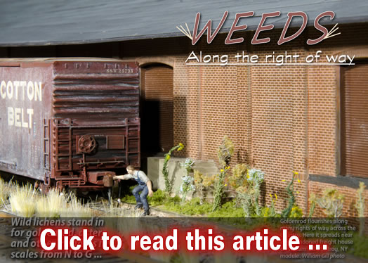 Weeds along the right-of-way - Model trains - MRH article February 2017
