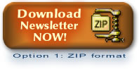 Option 1 - Download zip format